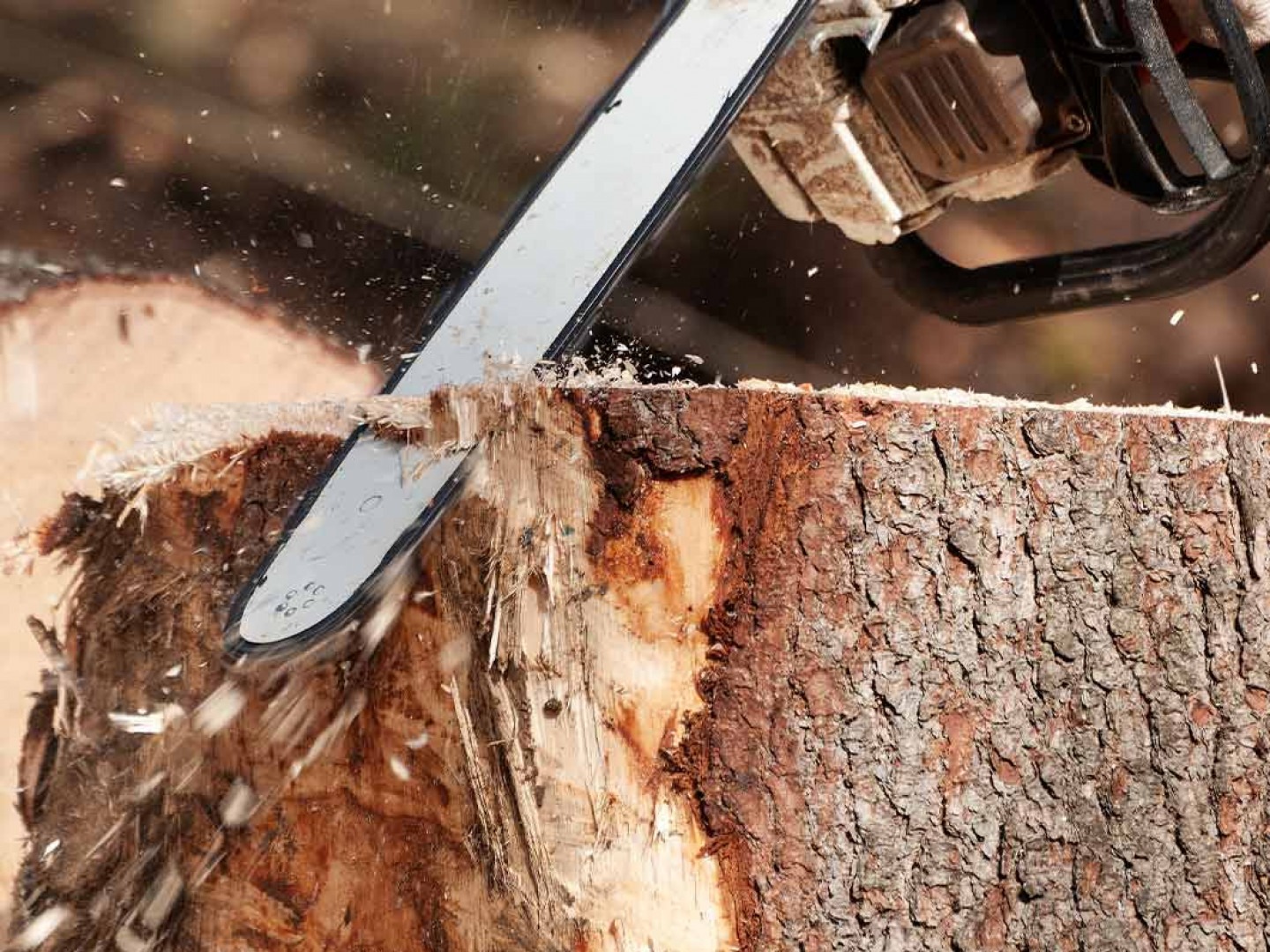 Tree Cutting Chain Saw